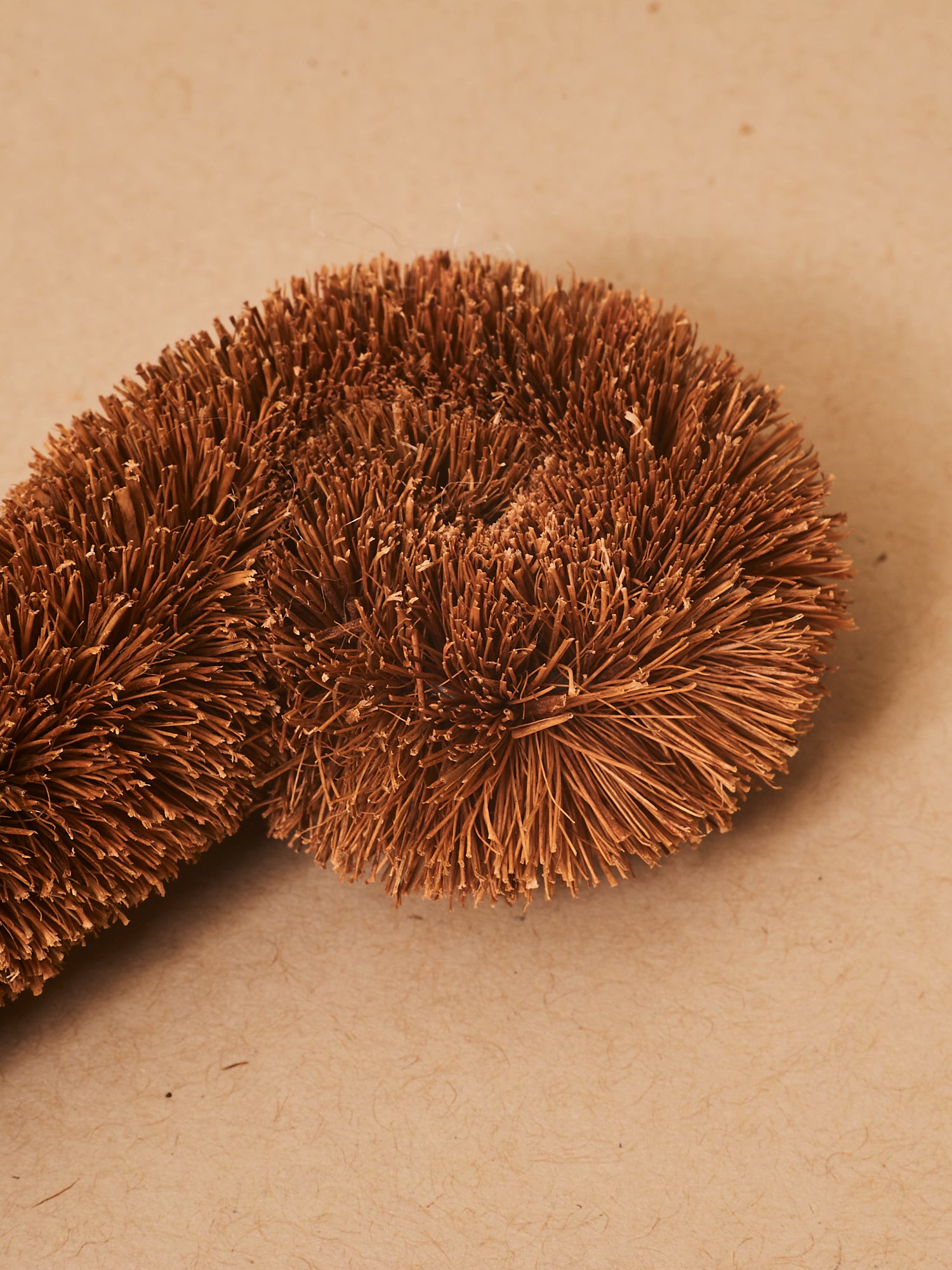 Bottle Brush - Coconut Fiber