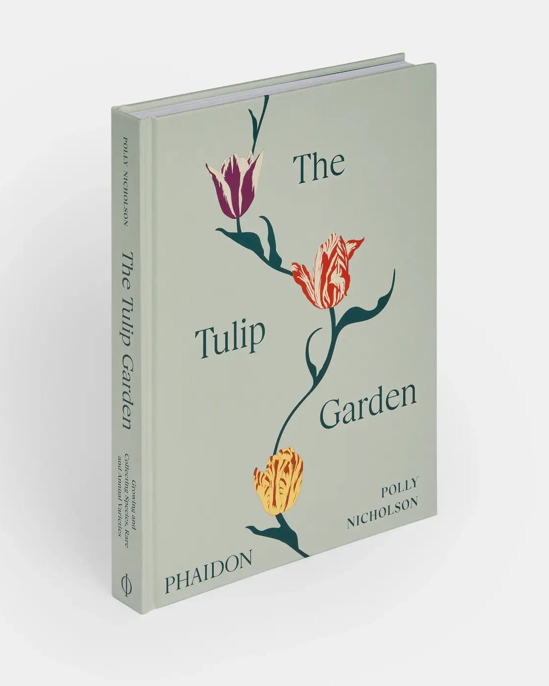 The Tulip Garden