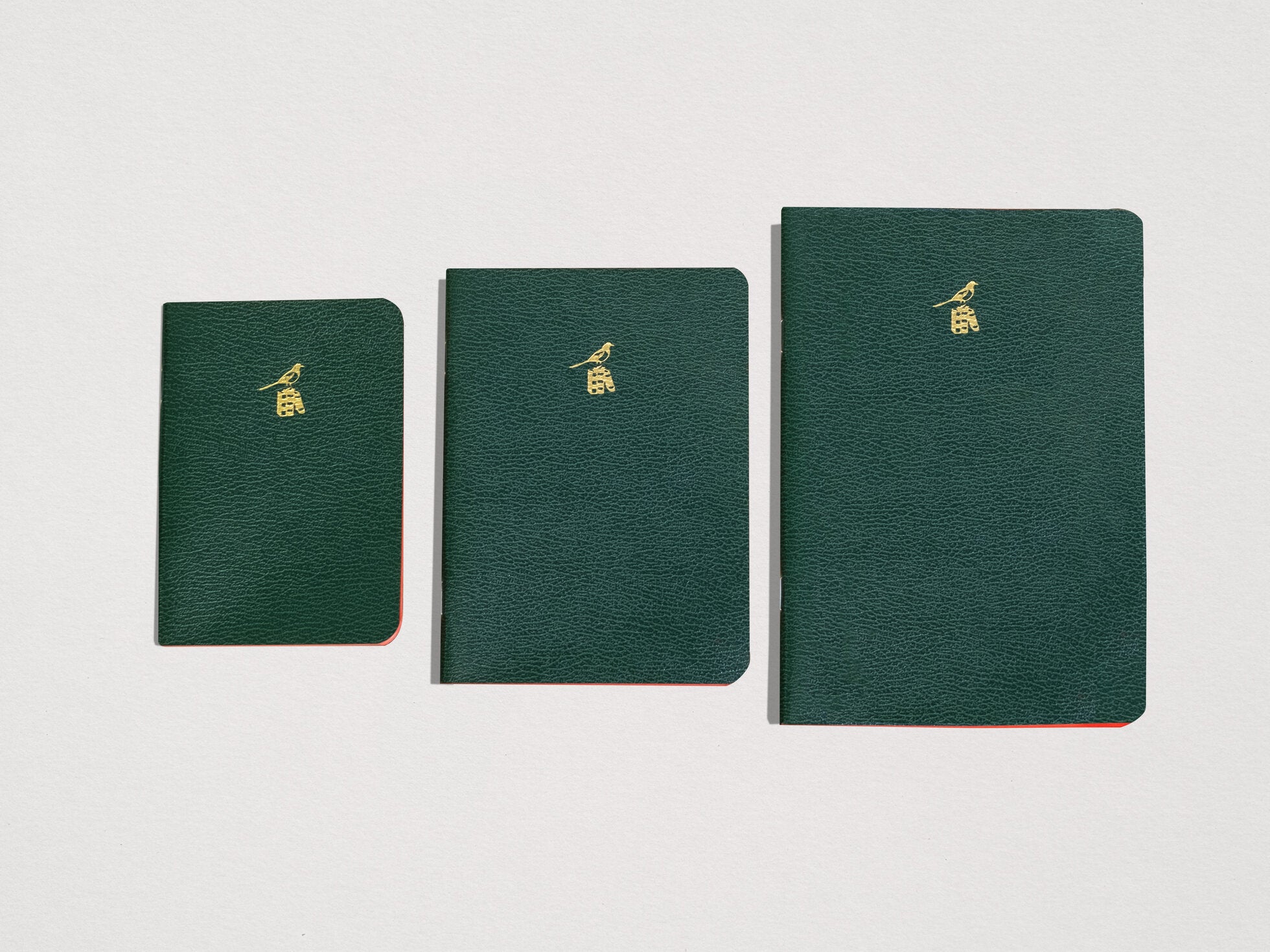 Bieffe Roma Notebook - Green Large