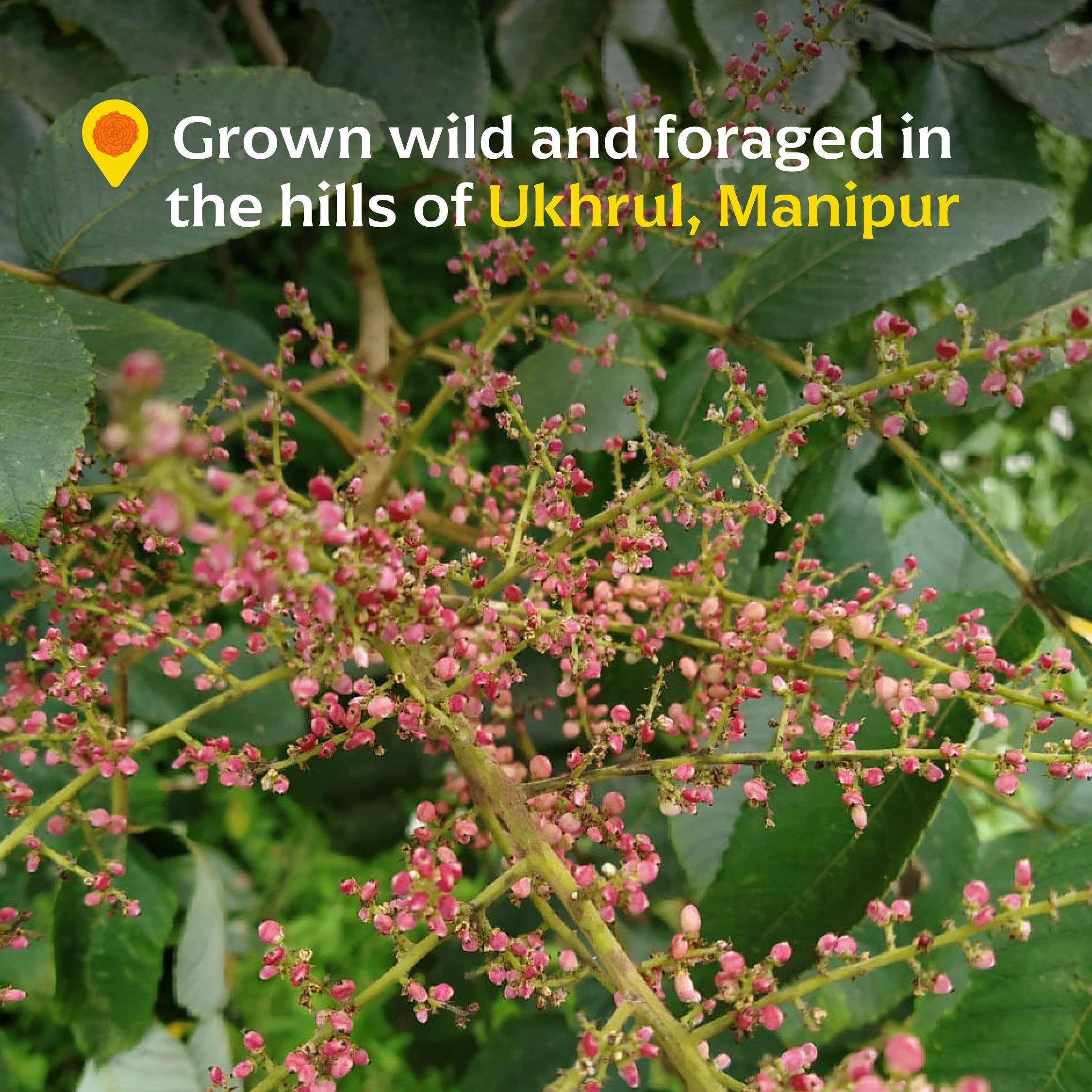 Wild Heimang Sumac Powder