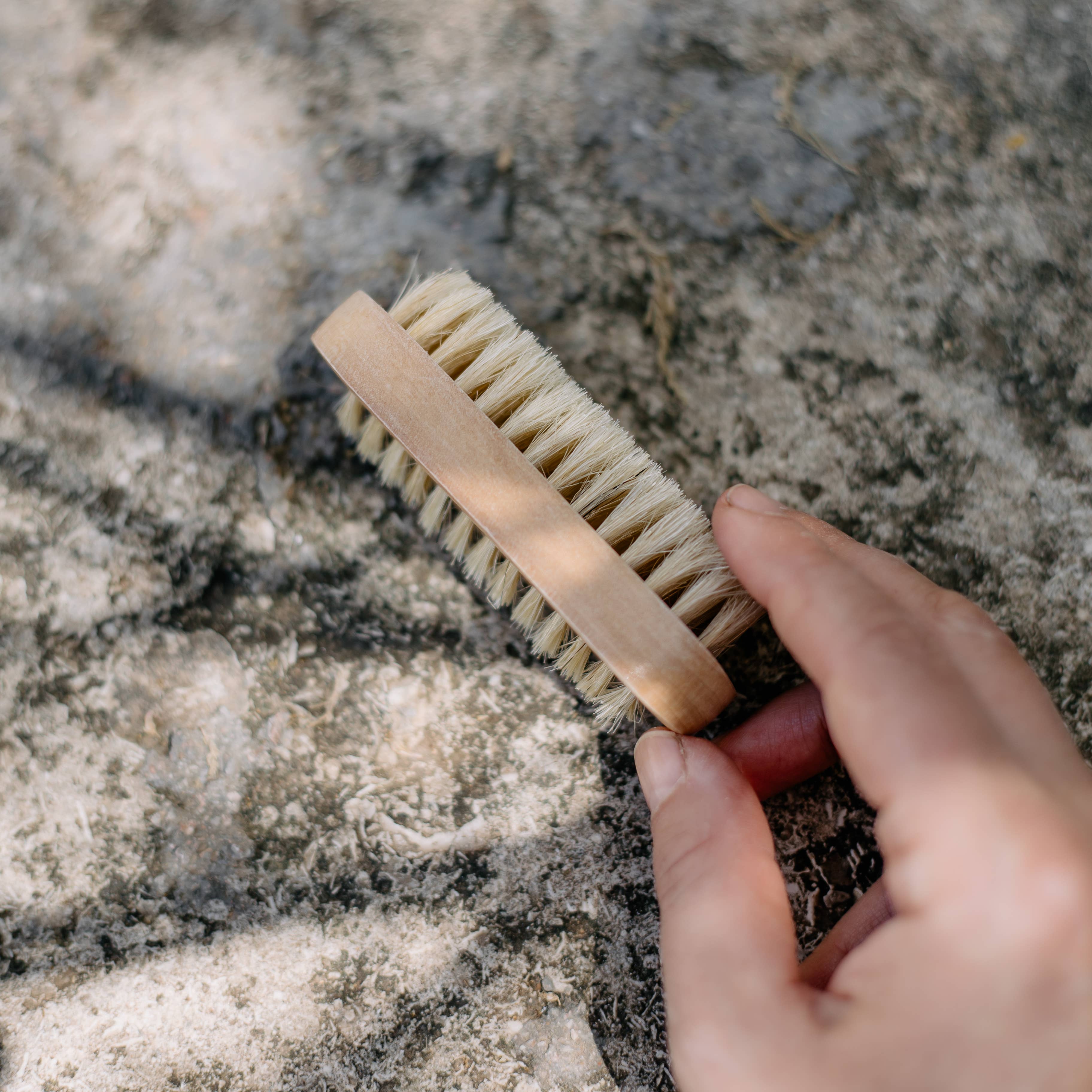 Large Nail Brush