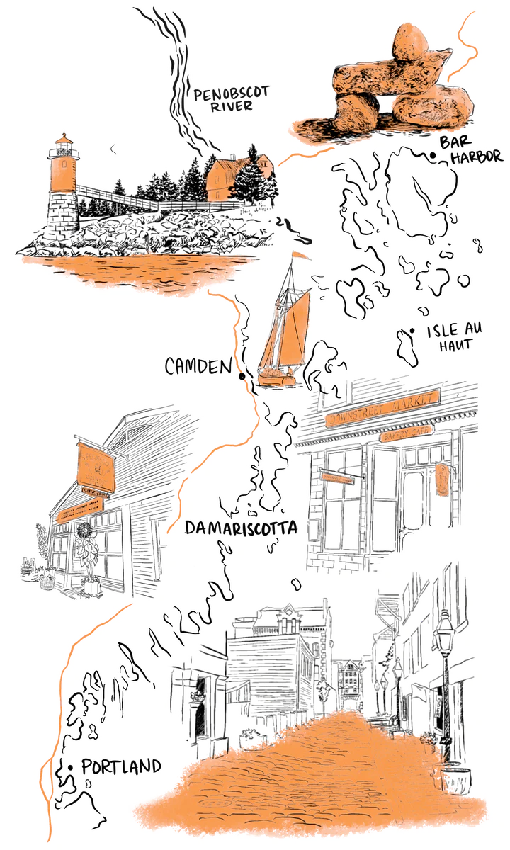 Maine Coast Field Guide