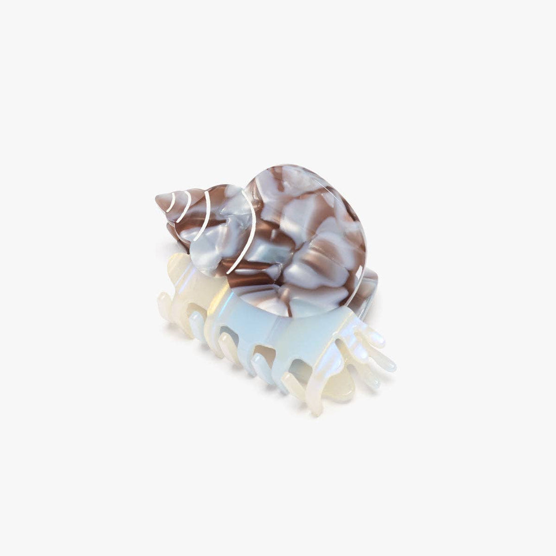 Blue Whelk Shell Acetate Hair Claw