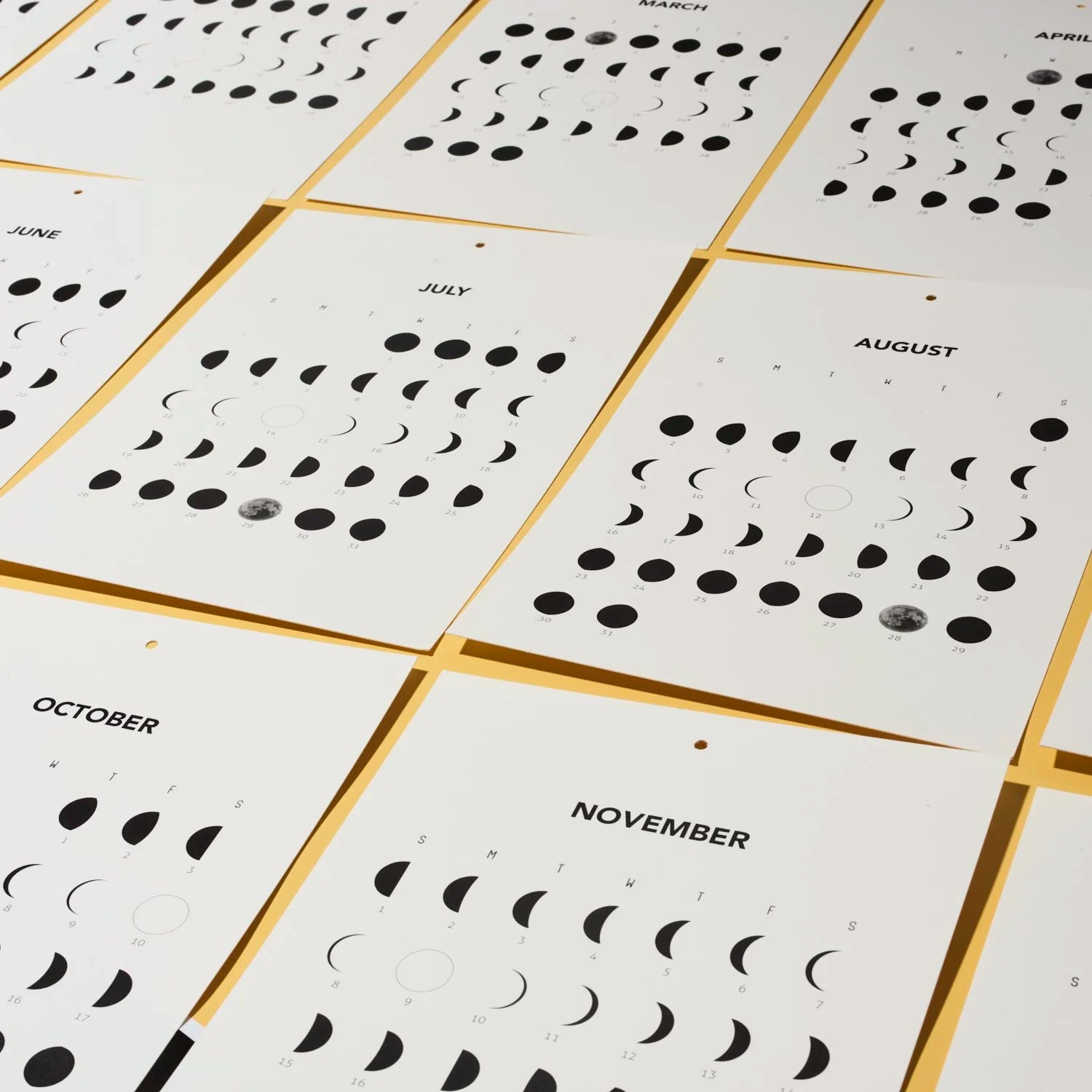 Year of Moons 2026 Calendar