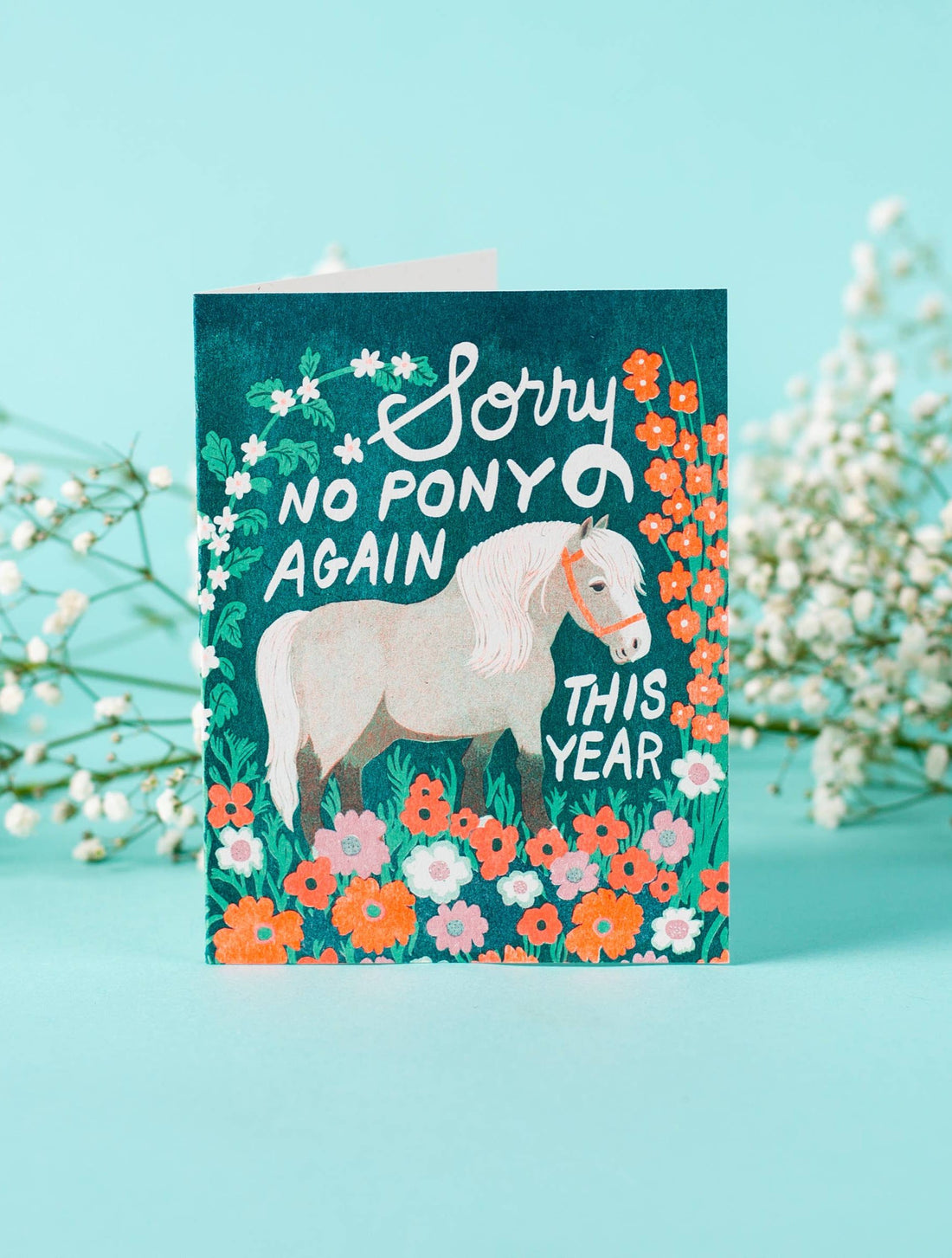 No Pony Birthday Card