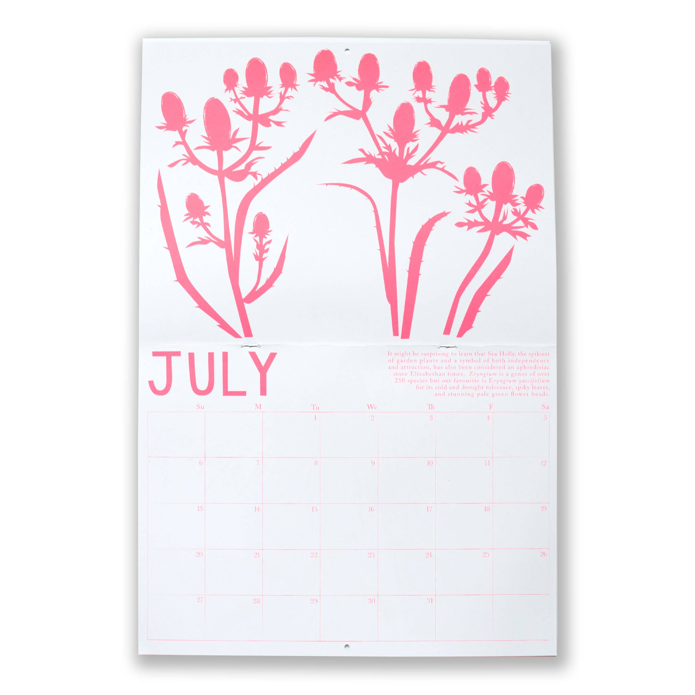 Drought Tolerant Plants 2025 Calendar