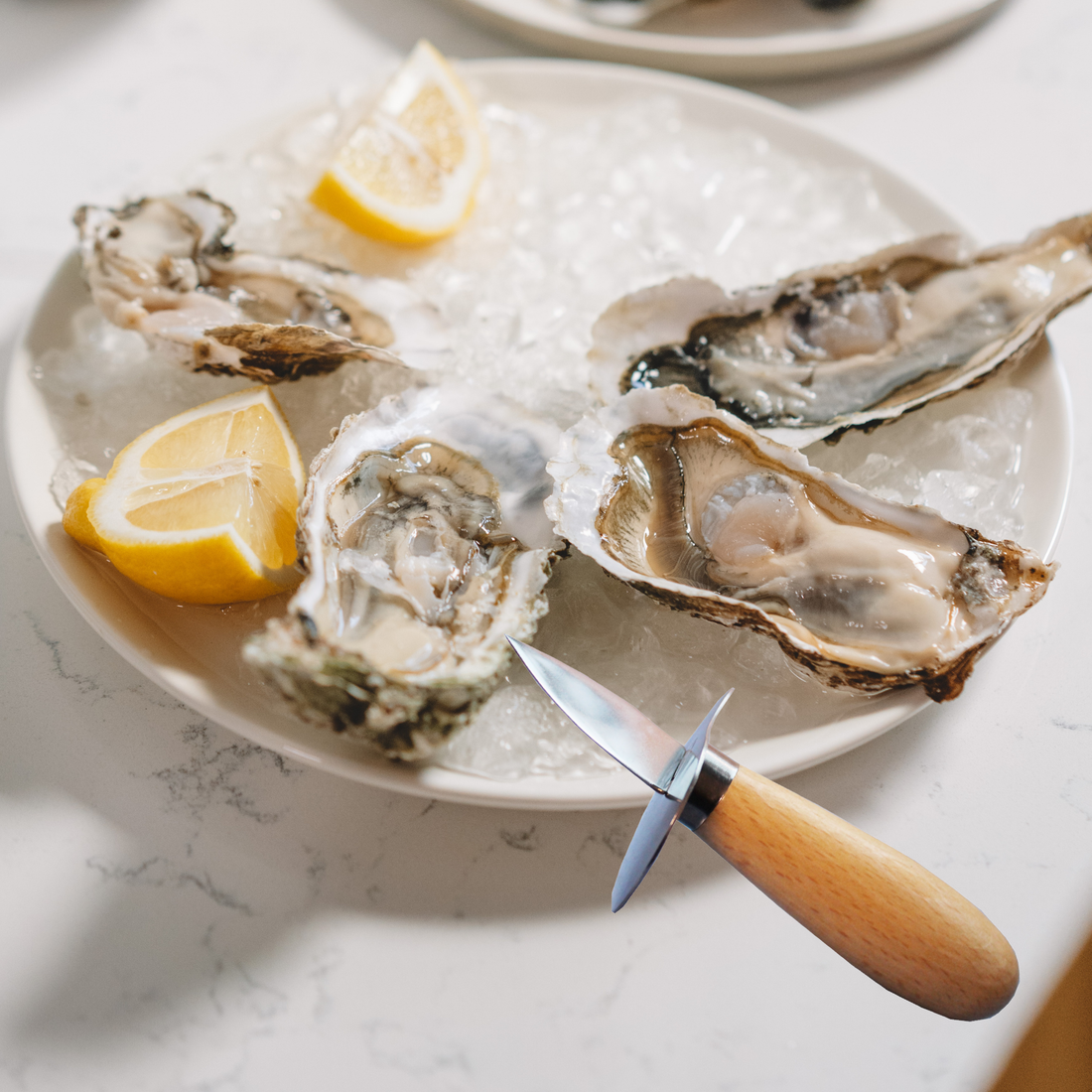 Oyster Shucker
