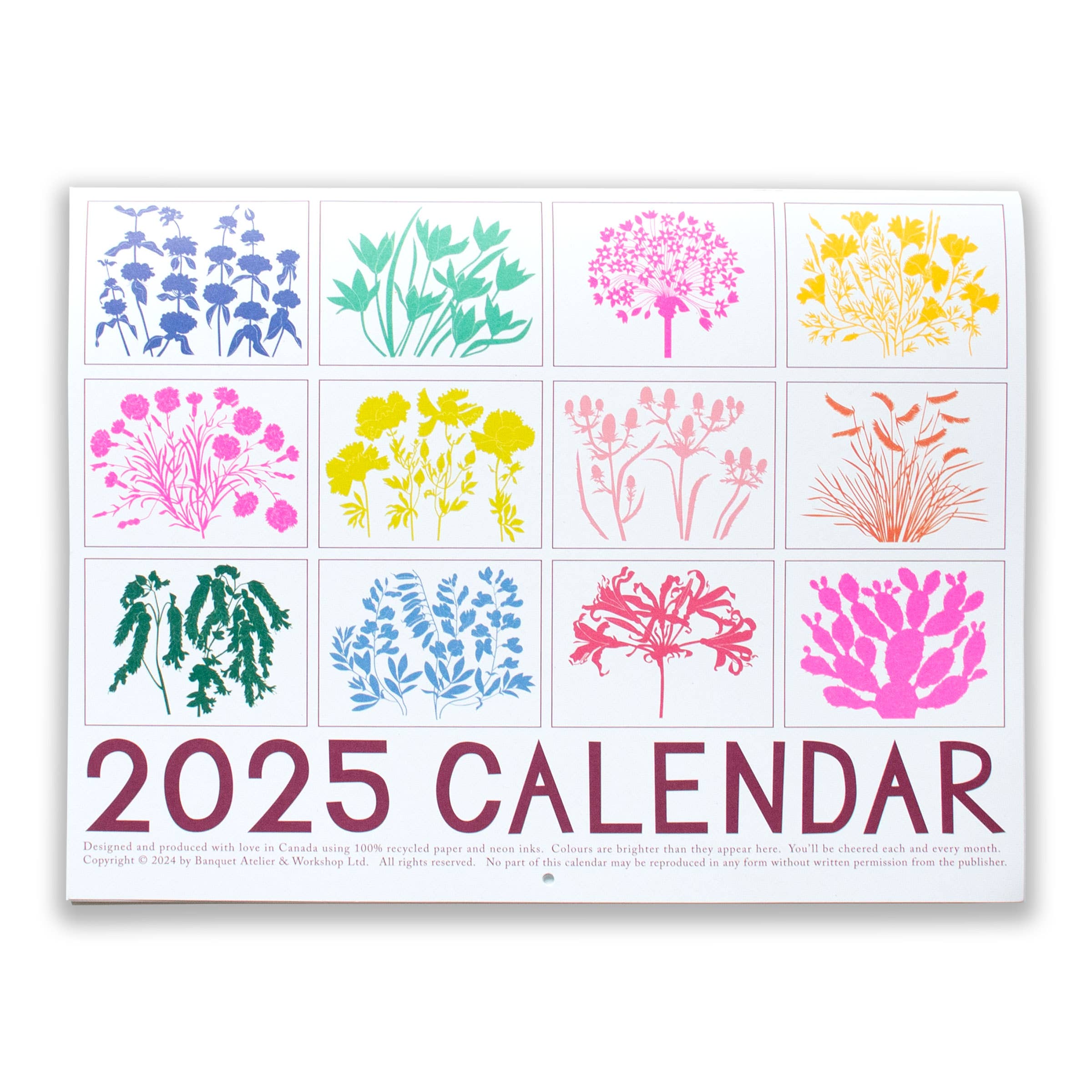 Drought Tolerant Plants 2025 Calendar