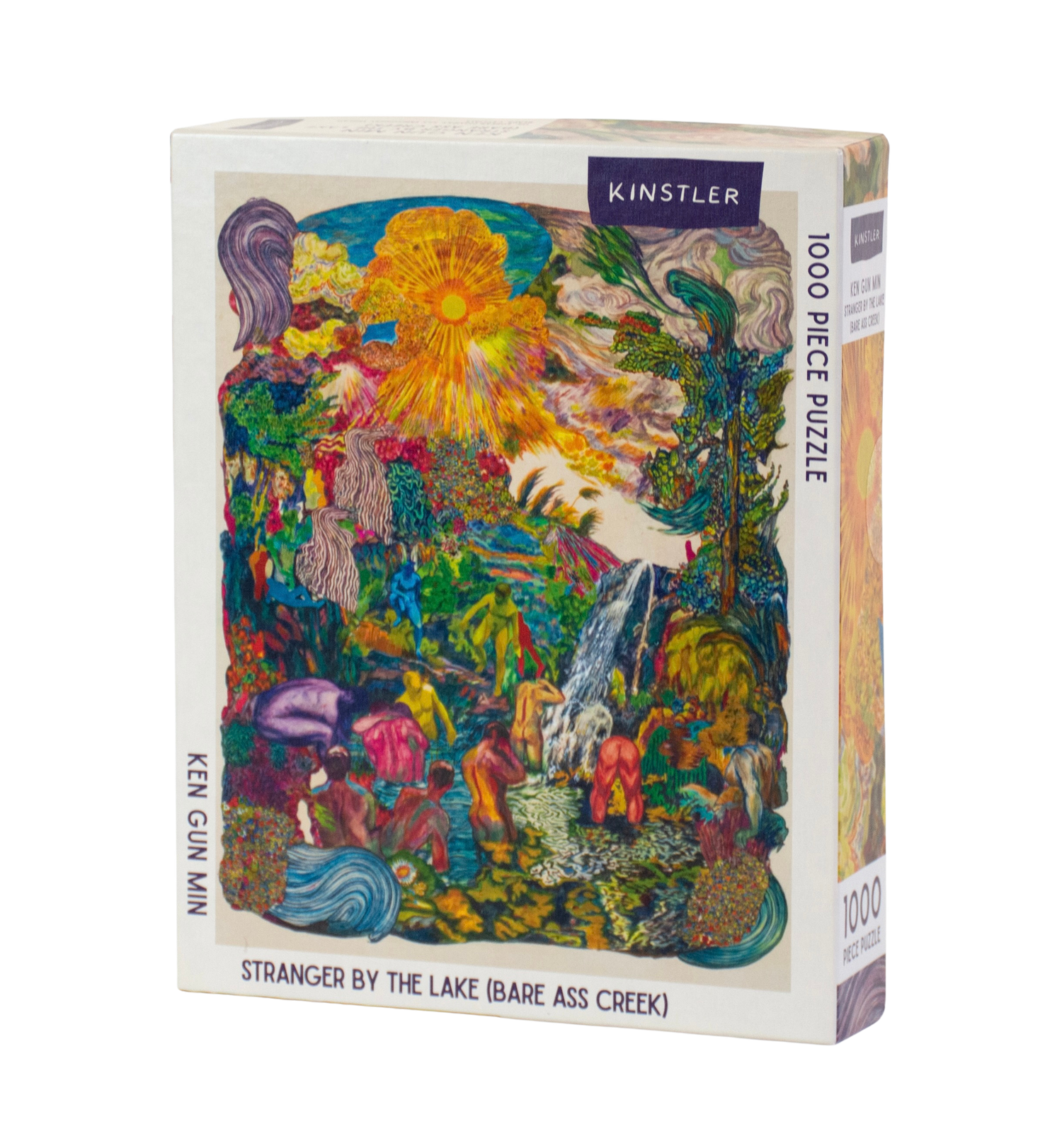 Stranger by the Lake Puzzle