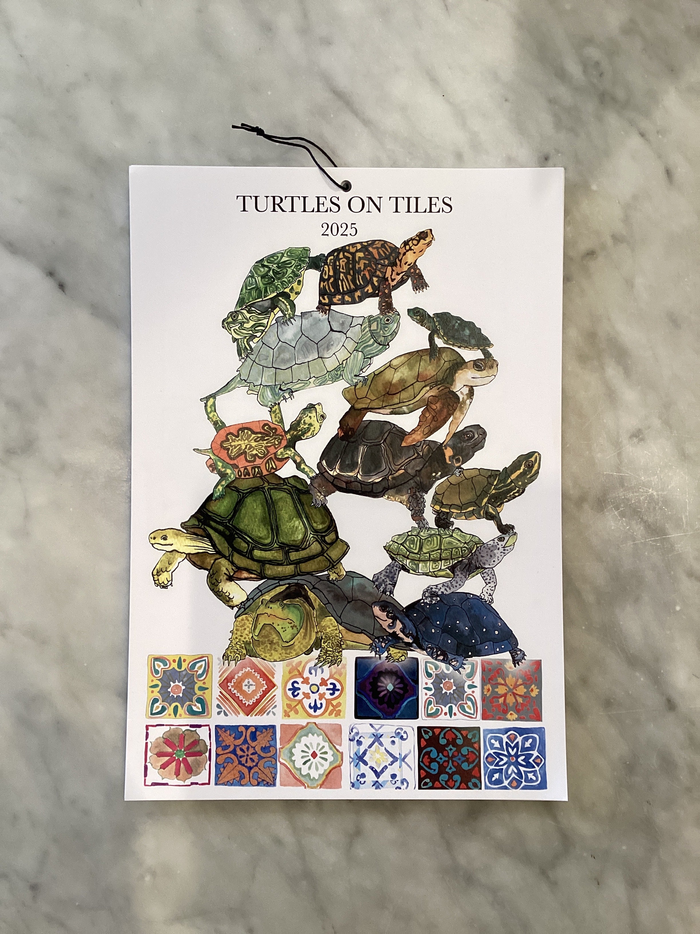 Turtles and Tiles : 2025 Calendar