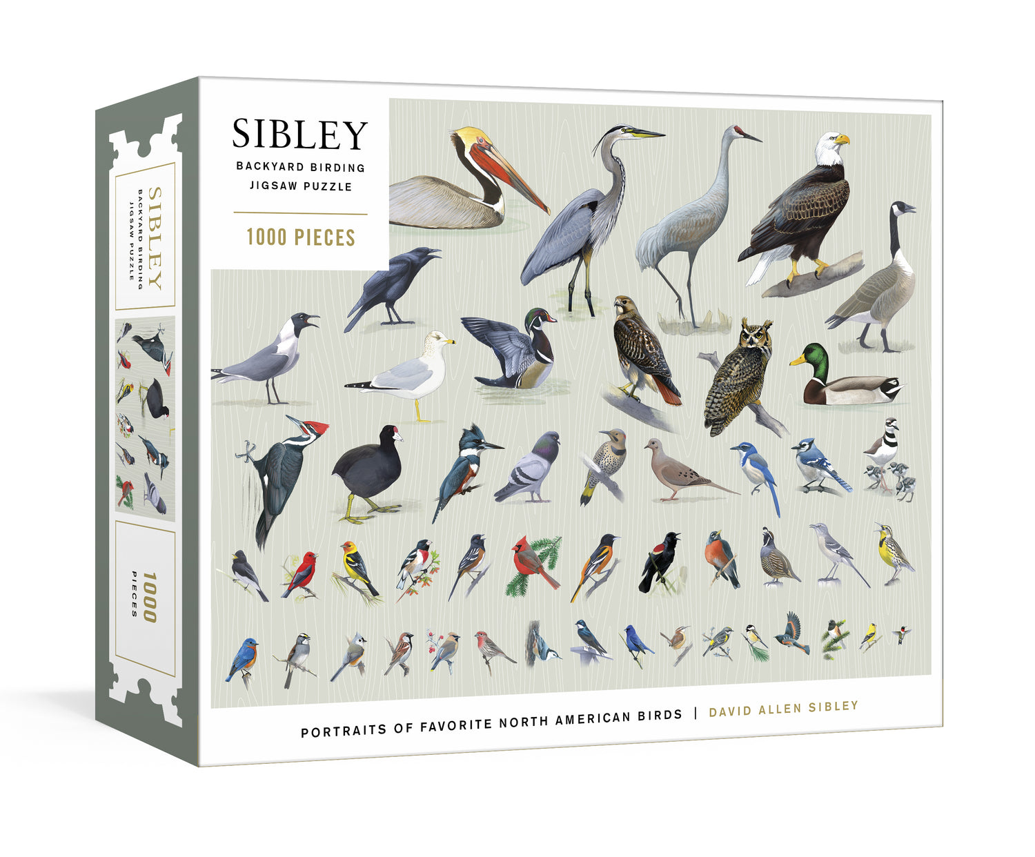 Backyard Birding Puzzle