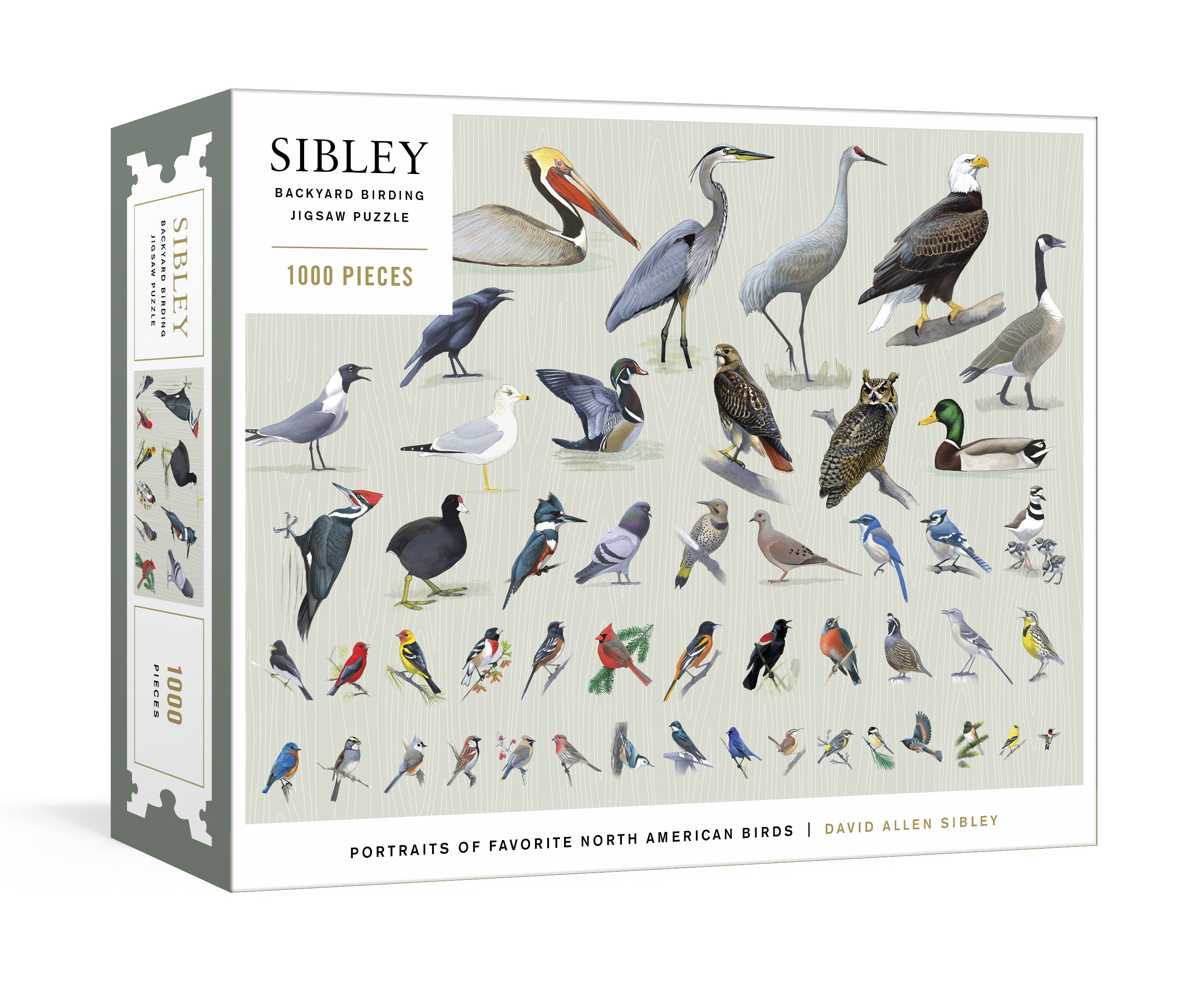 Backyard Birding Puzzle