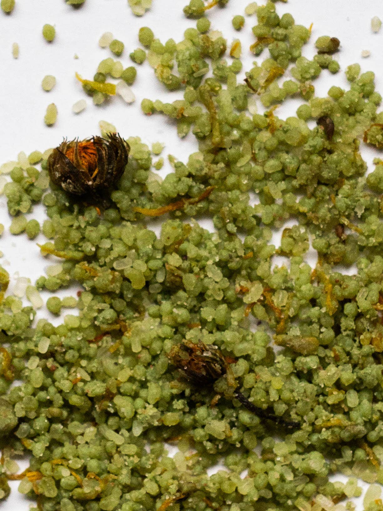 Calendula &amp; Clay Bath Soak