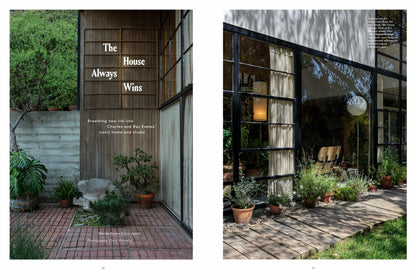 Upstate Diary: Issue 23 Cultivating the Present