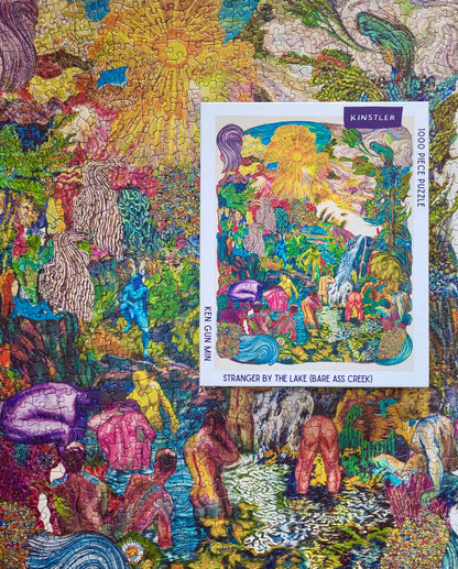 Stranger by the Lake Puzzle