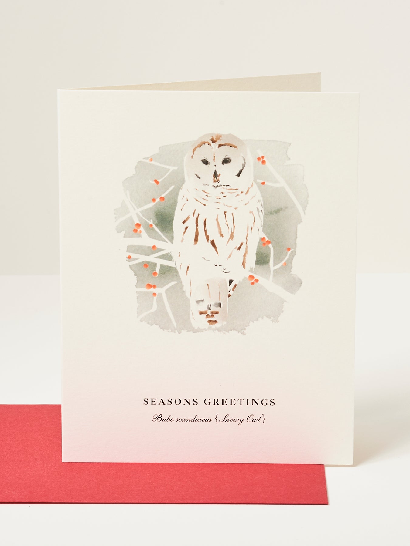 Season’s Greetings Snowy Owl Card