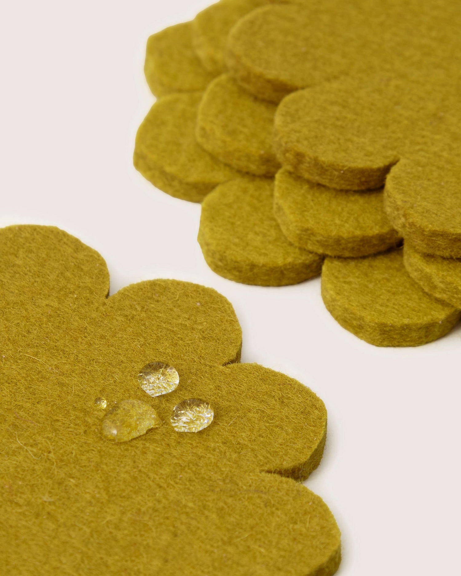 Crest  Felt Coaster Set - Dandelion