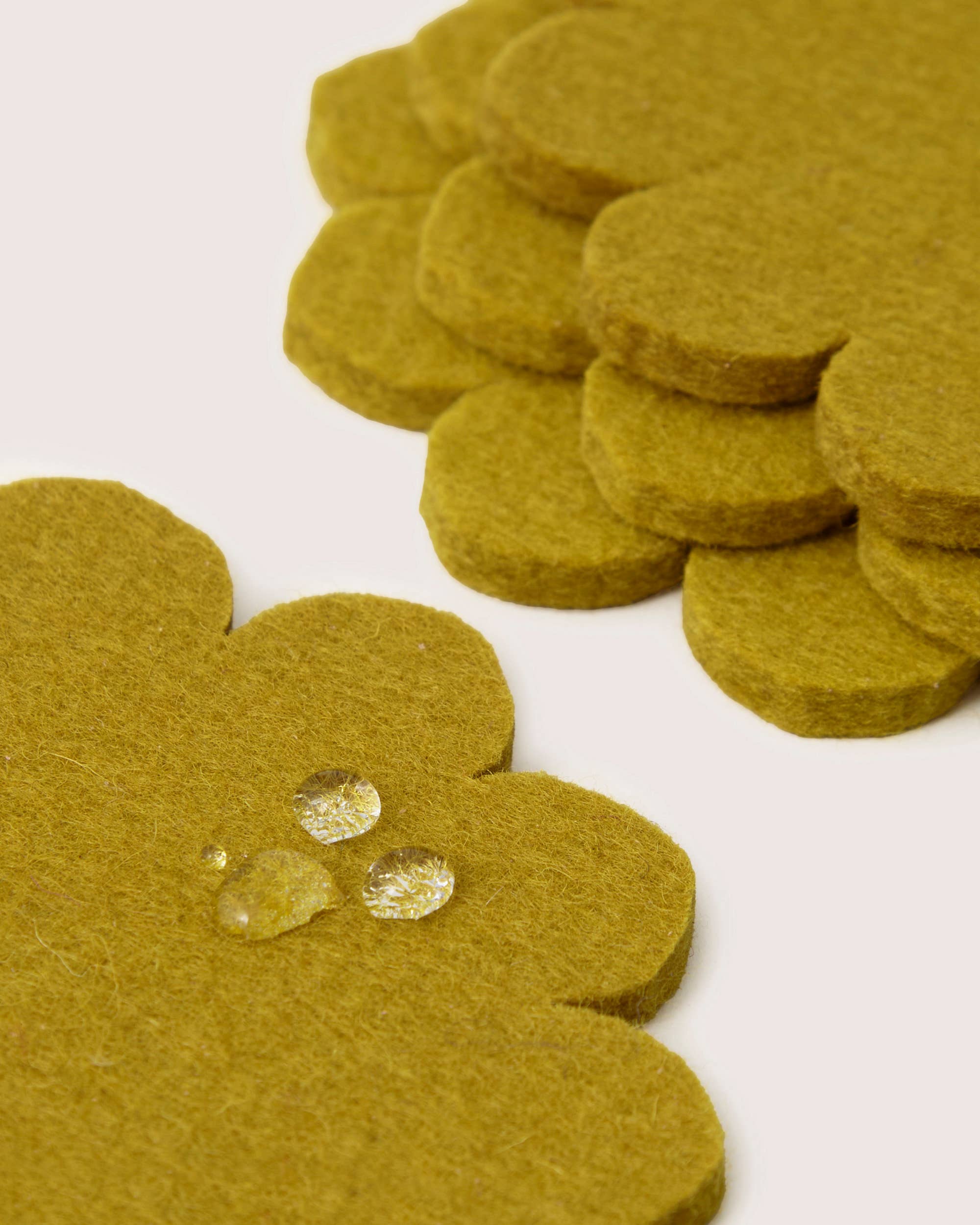 Crest  Felt Coaster Set - Dandelion