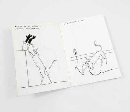 Routine Questions for the Cat