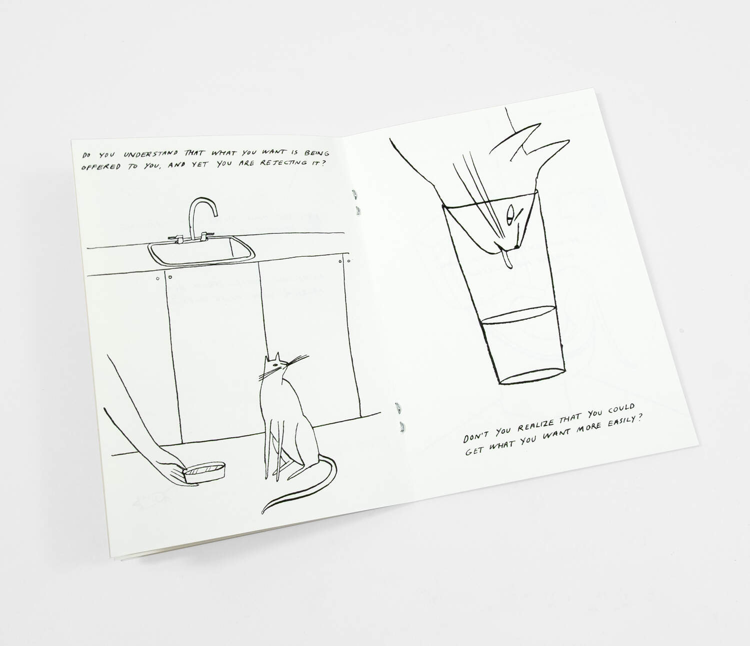 Routine Questions for the Cat