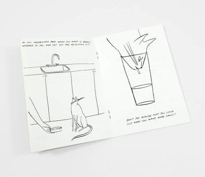 Routine Questions for the Cat