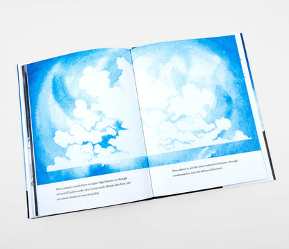 Something About the Sky