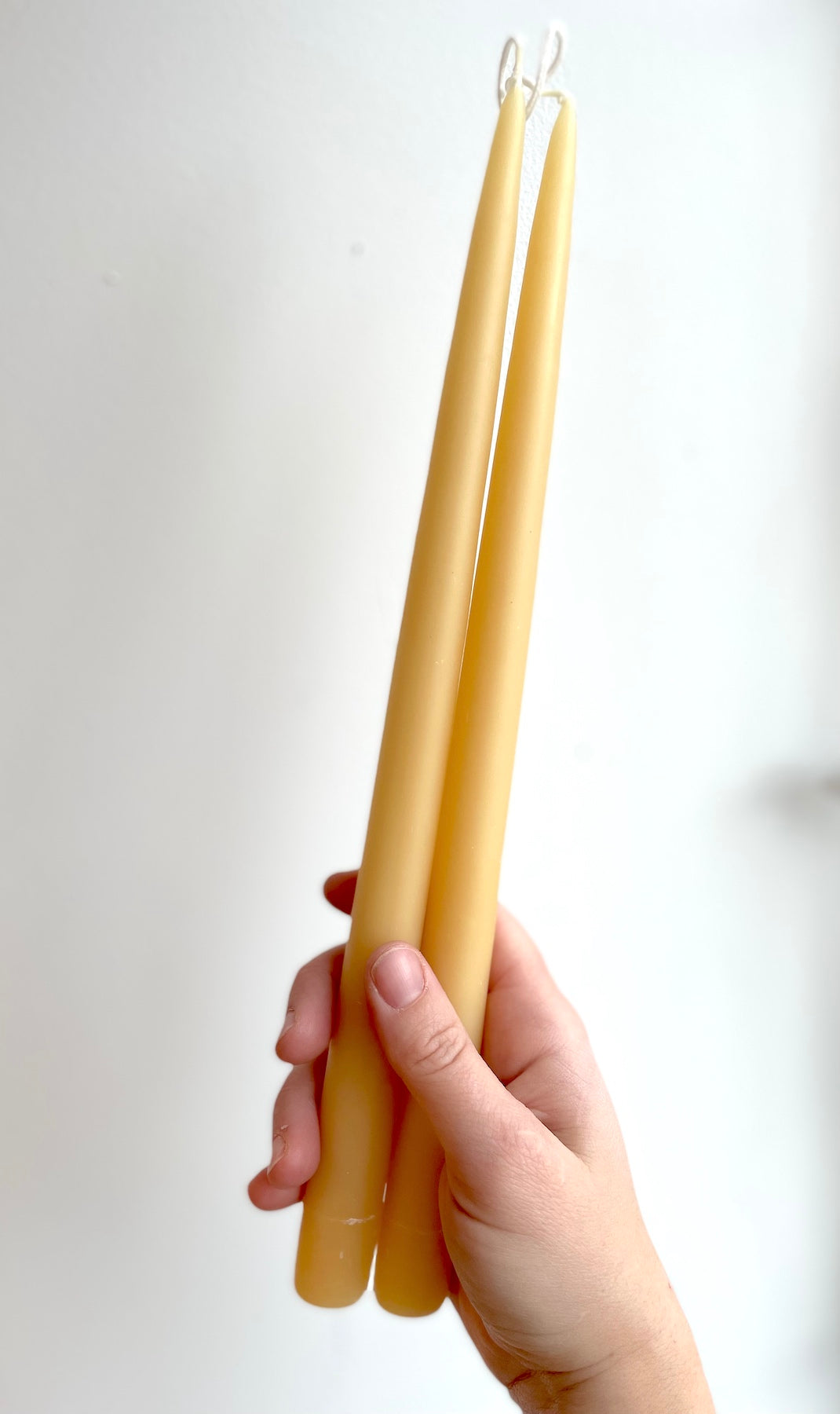 Beeswax Tapers - 13&quot;